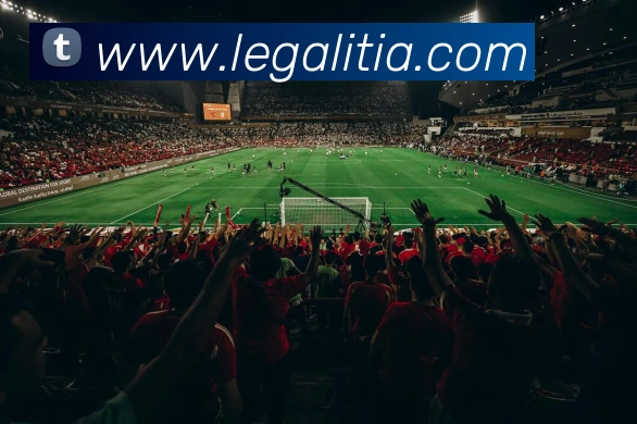 平台展示图